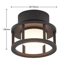 Lucande Berenike Außendeckenleuchte -Lucande 9619327 3